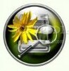 Stellar Phoenix CD DVD Data Recovery