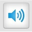 Screen Reader
