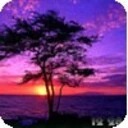 Striking Sunsets