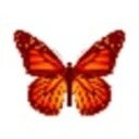 Fluttabyes