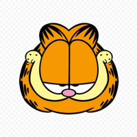 Daily Garfield Reader