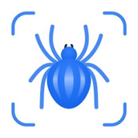 Insect Identification Guide