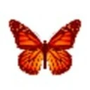 Fluttabyes