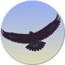 Eagle Mode
