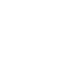 Copper Pro Edition
