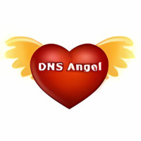 DNS Angel