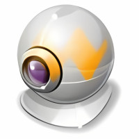 Webcam Surveyor