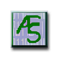 Advanced File Security Basic