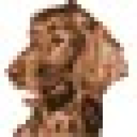 Atrise Everyfind