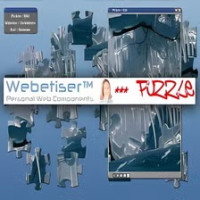 Webetiser Puzzle Winter
