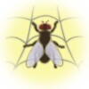 WebLight