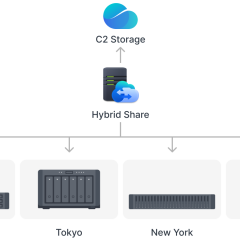 Hybrid Share