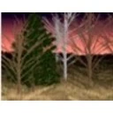 Wilderness Dreams Screensaver