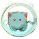 Raincat