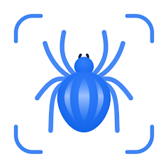 Insect Identification Guide