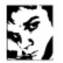 Hombres Desesperados