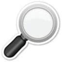 Pointing Magnifier