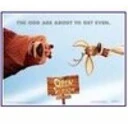 Open Season Wallpaper