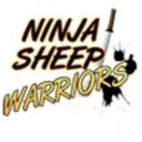 Ninja Sheep Warriors