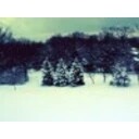 Cold Winter Screensaver