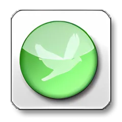 oRipa Screen Recorder