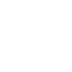 Go Ollie!