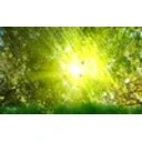 Golden Nature Screensaver