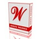 Angel Writer