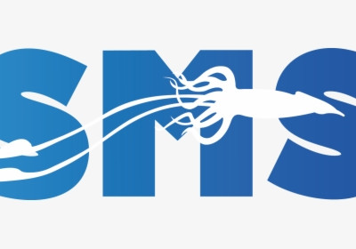 sMs Masivo