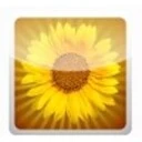 Plastiliq Image Resizer