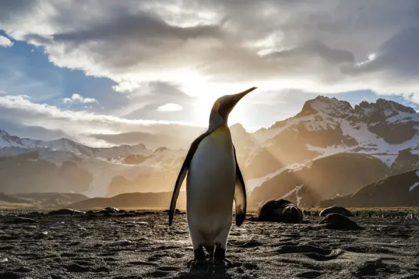 Linux Reader фото 2