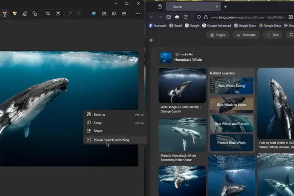 Новый функционал визуального поиска в инструменте Snipping Tool