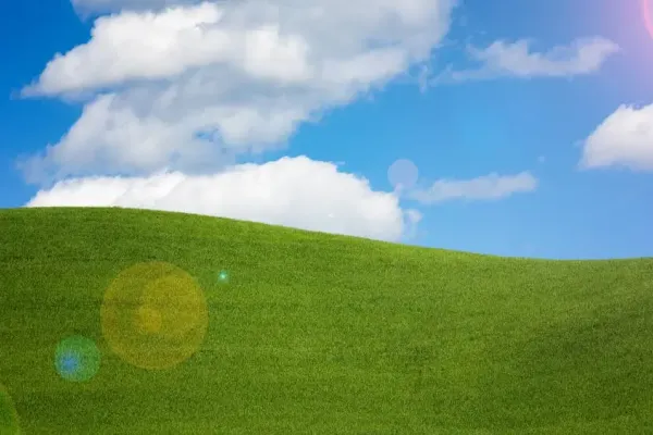 Windows 11 нуждается в улучшении стабильности