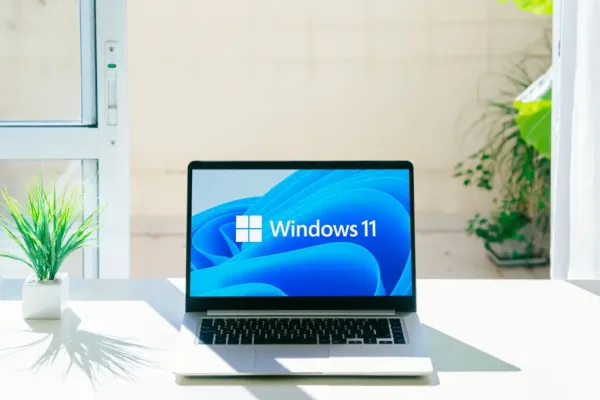 Спокойный обзор различий Windows 11 Home и Pro