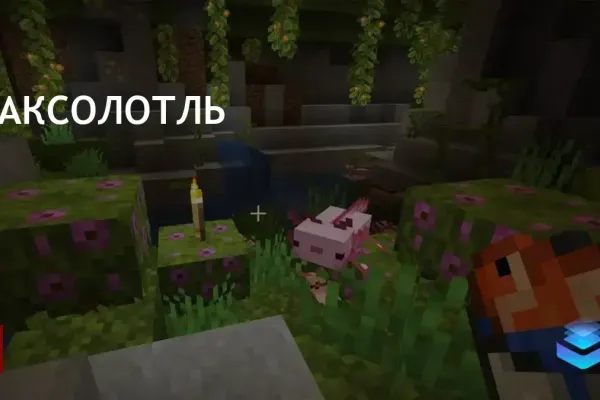 Аксолотль в Minecraft: уход и приручение