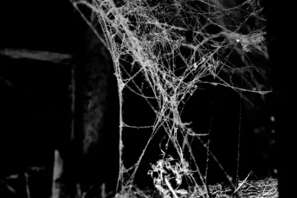 Firefox продлевает поддержку для Windows 7 до 2026 года