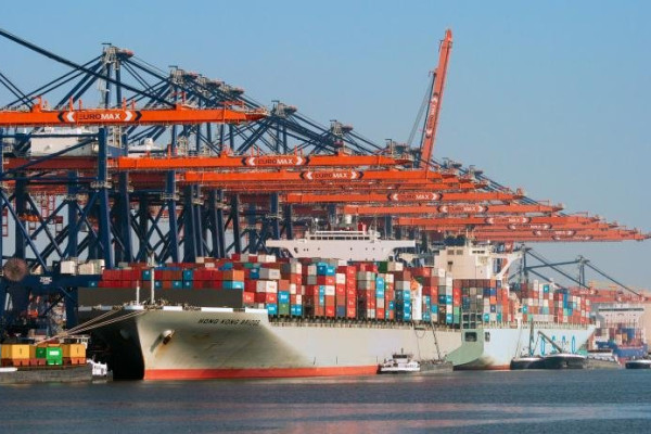 Сбой Crowdstrike на Windows привел к закрытию терминалов в Роттердаме