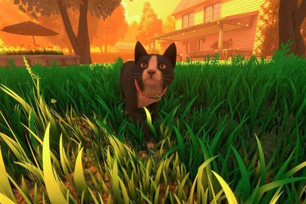 Ежедневно на Steam выходит в среднем десяток новых игр