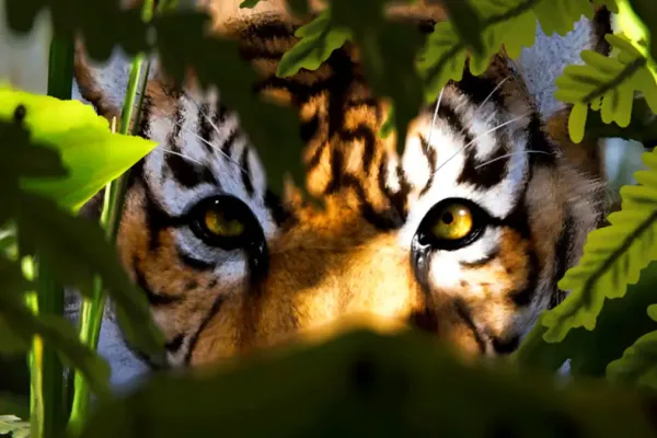 Апрельское обновление Rust: изменения в режиме выживания