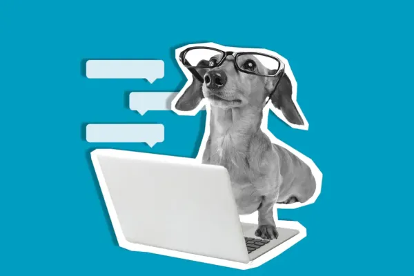 XChat расширяет возможности приложения X для бизнеса