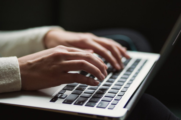 Falconeer бесплатно в Epic Games Store до четверга, 11 июля 2024