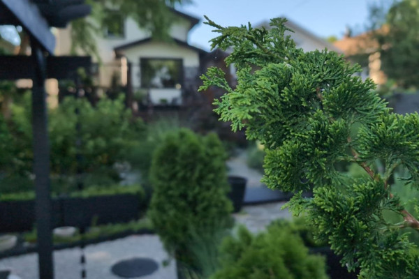 Приложение ProShot для Android предлагает расширенные настройки камеры