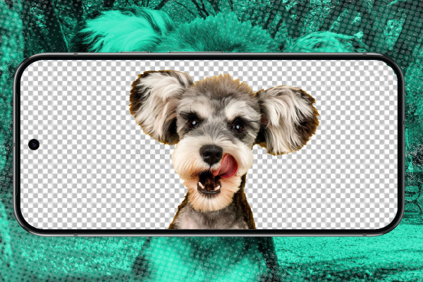 Выбор приложений для удаления фона в бизнесе