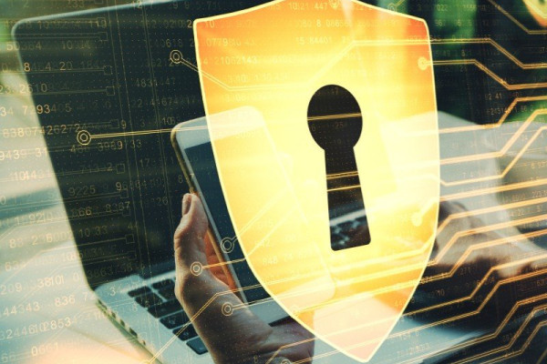 Выбор антивирусного ПО: ключ к защите от киберугроз