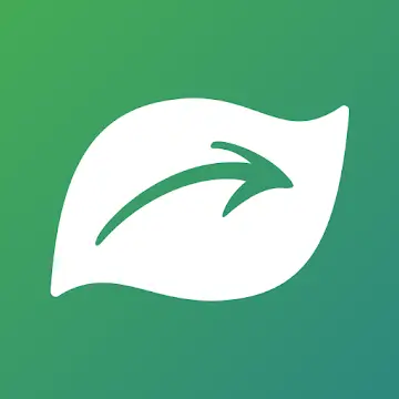 Seek: Инновационное приложение для опознания природы