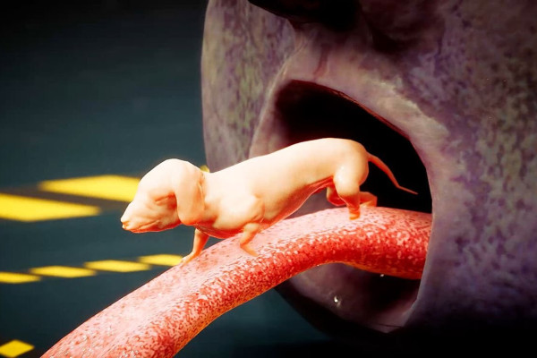 Новые игры августа: разнообразие жанров и уникальные концепции