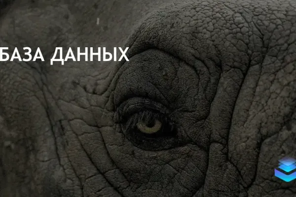 EDB запускает Postgres AI для улучшения рабочих нагрузок в компаниях