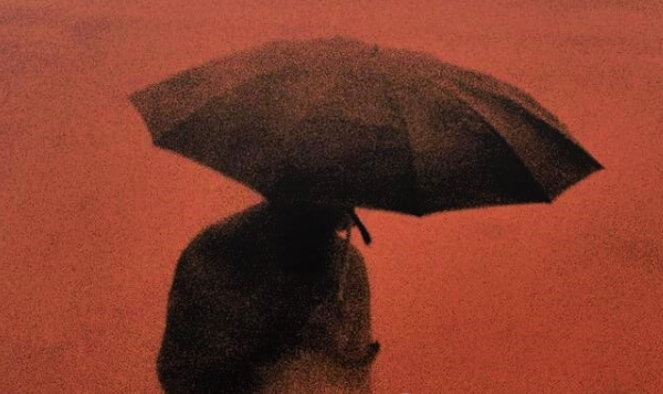 Liquid Swords принимает меры на фоне рыночных изменений