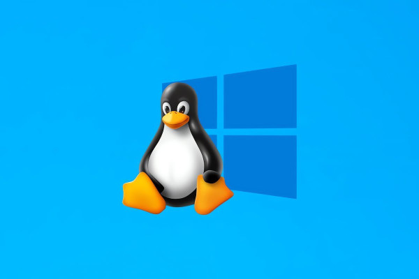 Августовские обновления Windows 2024 вызвали сбои в двойной загрузке с Linux