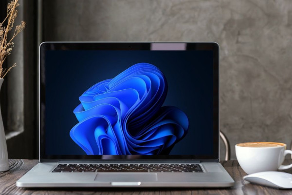 Двойная загрузка на Mac: как использовать macOS и Windows 11 одновременно